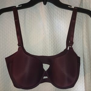 Warner Blissful Benefits Comfort Underwire Lightly Lined T-Shirt Bra Size 36D